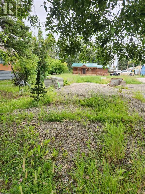 4907 50 St., Caroline, Alberta  T0M 0M0 - Photo 6 - A2241586