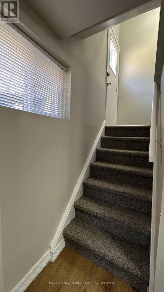 Basement - 217 Brighton Avenue, Toronto, Ontario  M3H 4E5 - Photo 14 - C12455121