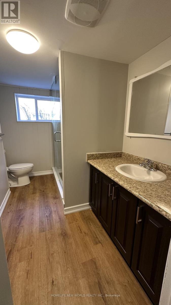 Basement - 217 Brighton Avenue, Toronto, Ontario  M3H 4E5 - Photo 8 - C12455121