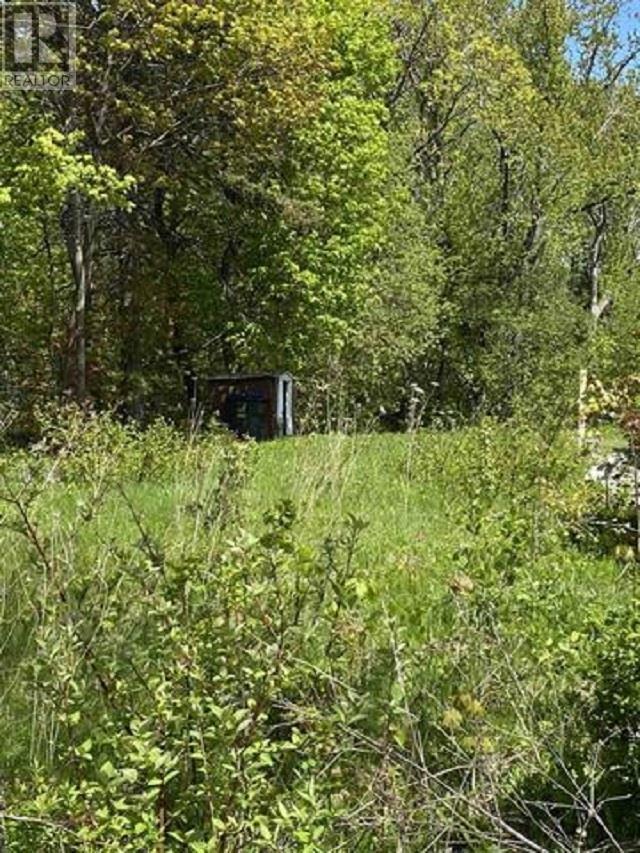 50 Stevens St, Sault Ste. Marie, Ontario  P6B 3N7 - Photo 2 - SM252490