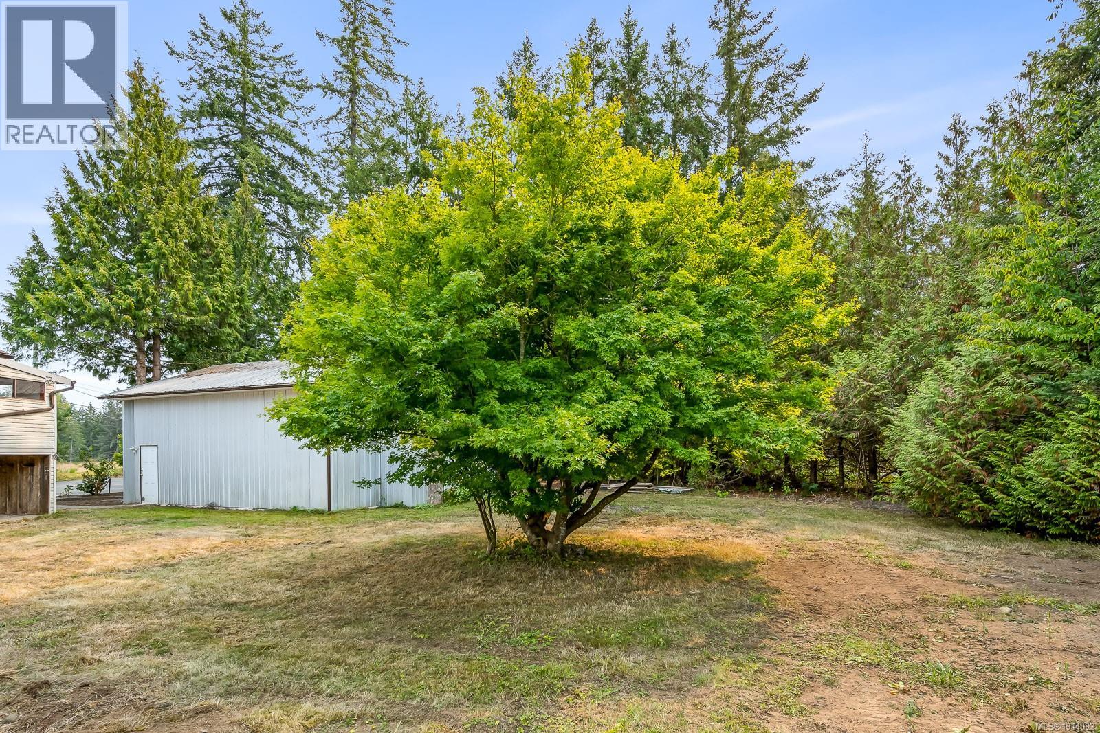 5303 Island Hwy S, Union Bay, British Columbia  V0R 3B0 - Photo 65 - 1014092
