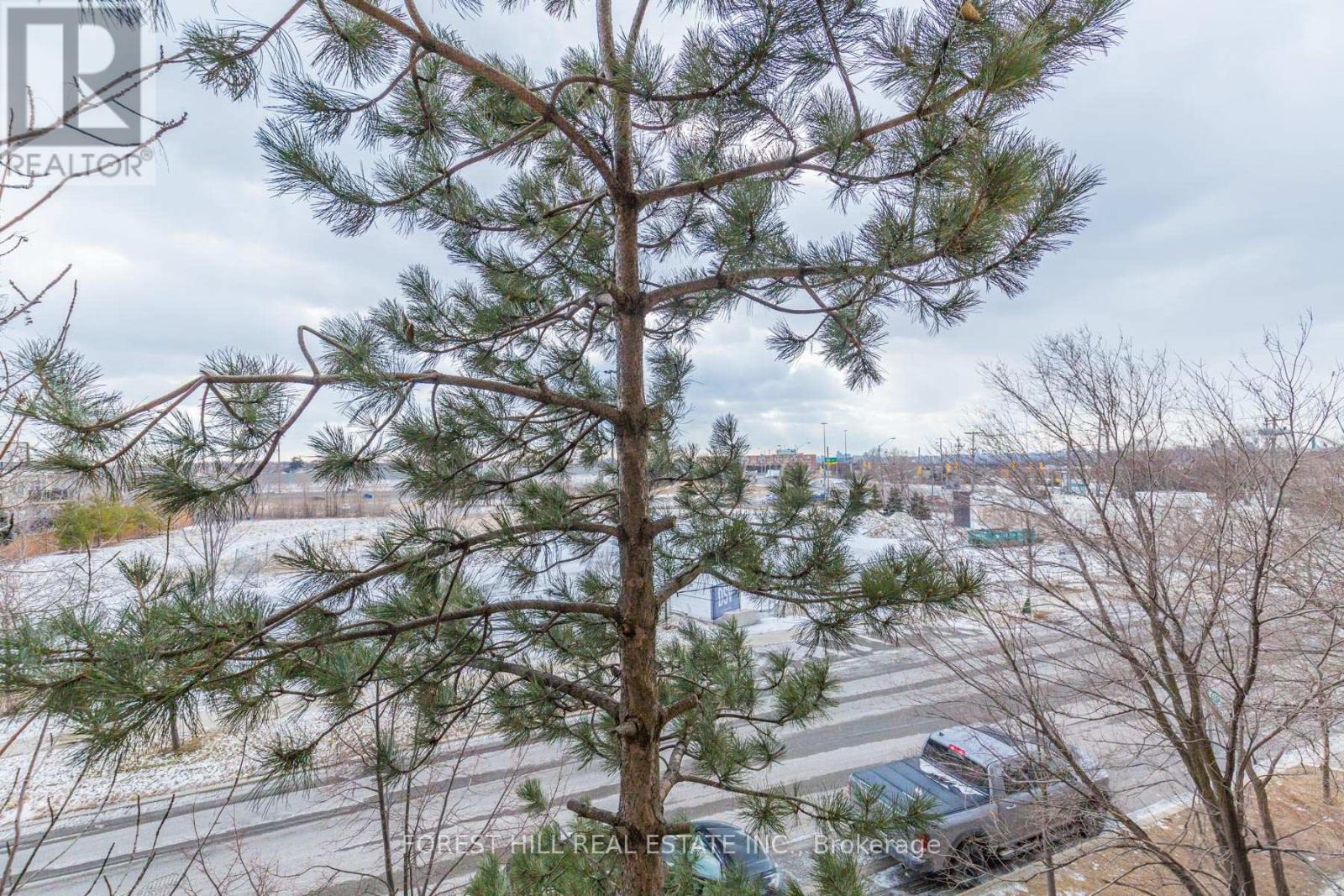 215 - 2737 Keele Street, Toronto, Ontario  M3M 2E9 - Photo 20 - W12455122
