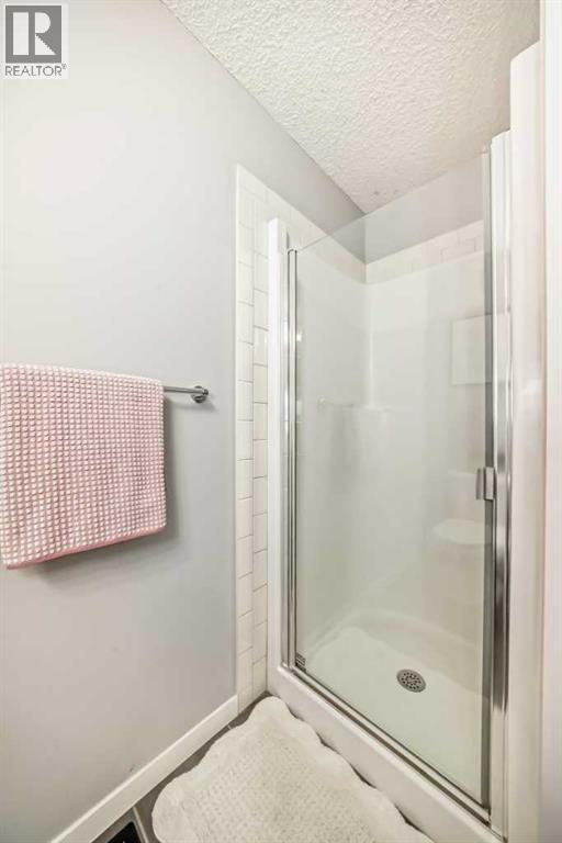 176 Masters Avenue Se, Calgary, Alberta  T3M 2B7 - Photo 28 - A2258220