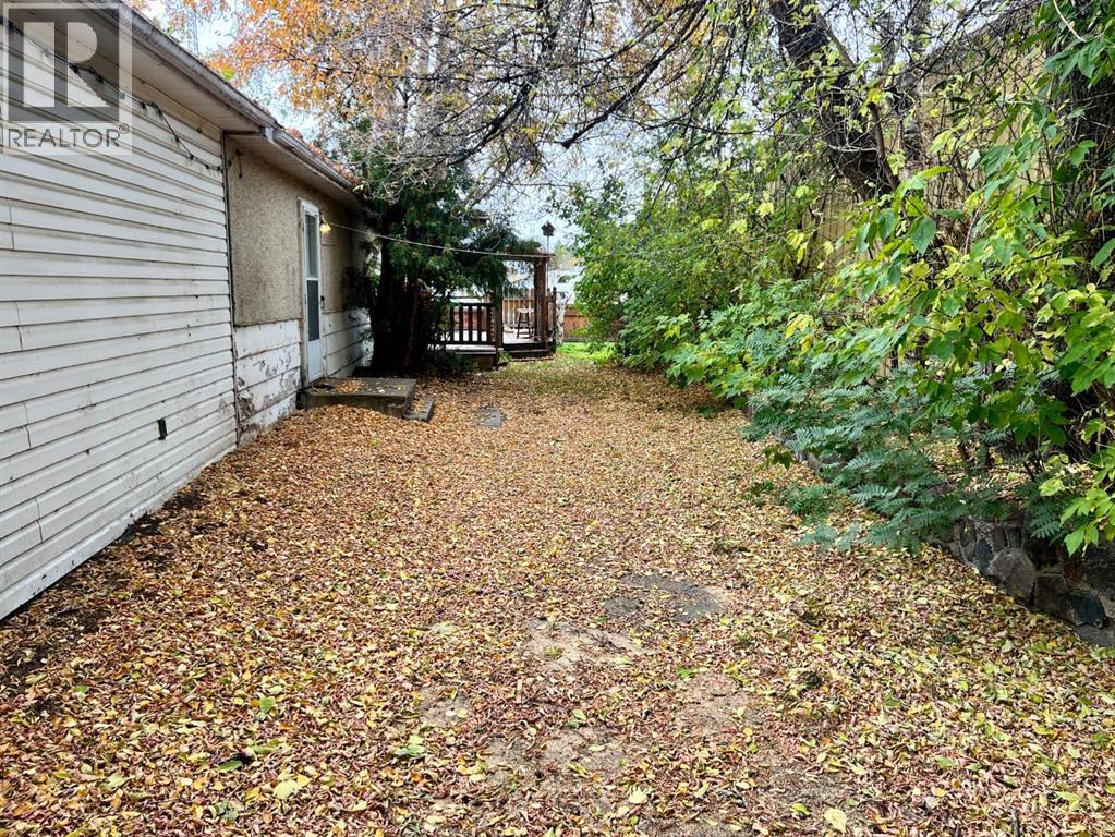 5019 50 Avenue, Caroline, Alberta  T0M 0M0 - Photo 15 - A2263377