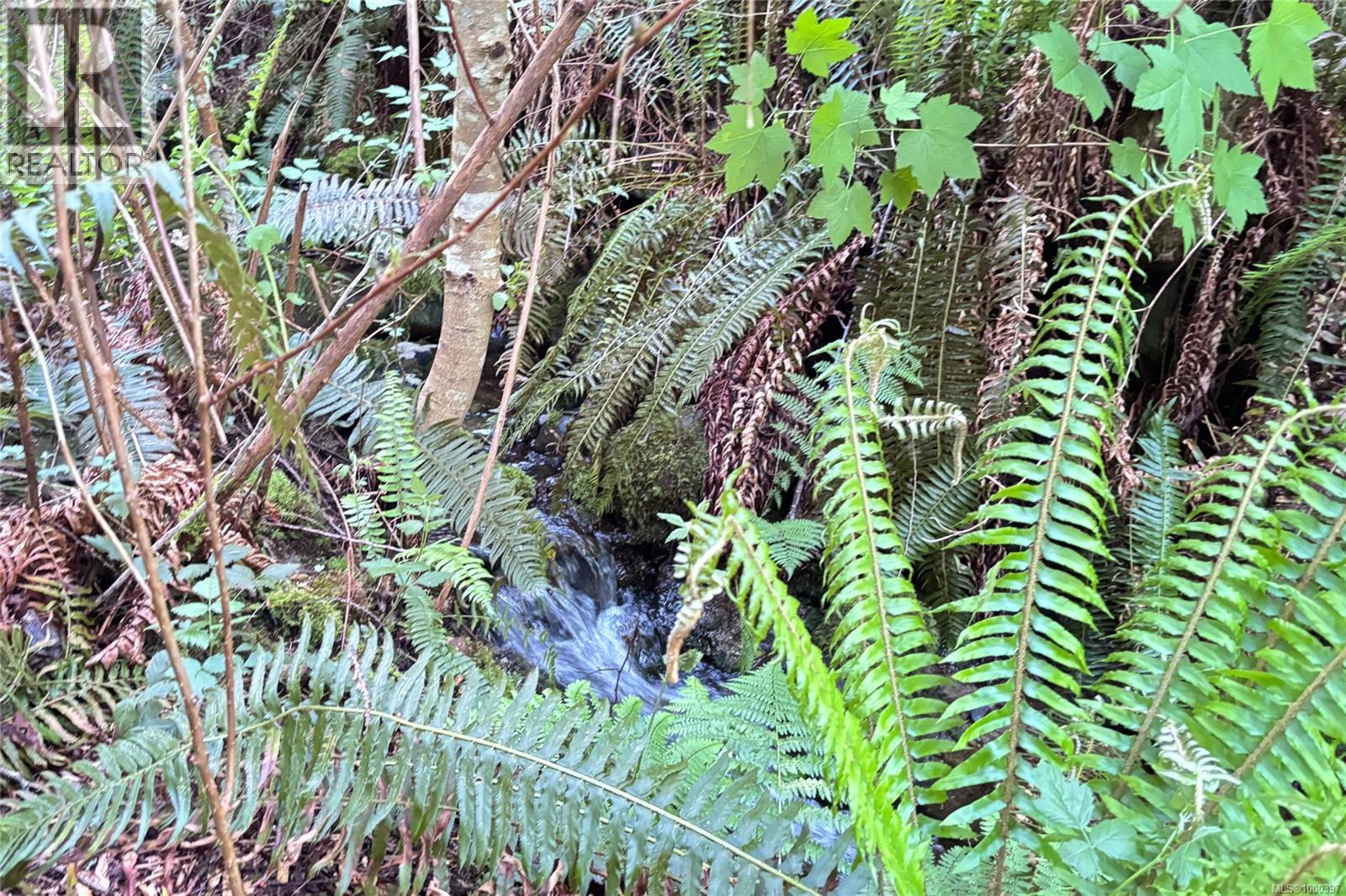 6662 Island Hwy W, Bowser, British Columbia  V0R 1G0 - Photo 27 - 1000397