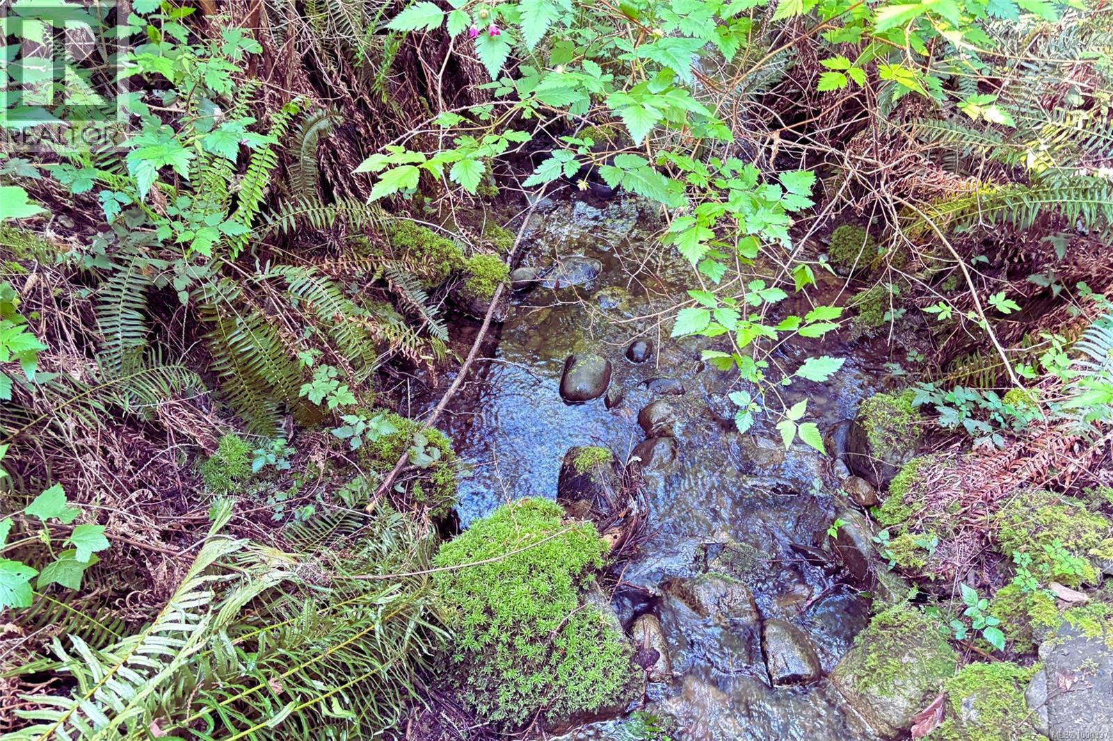 6662 Island Hwy W, Bowser, British Columbia  V0R 1G0 - Photo 25 - 1000397