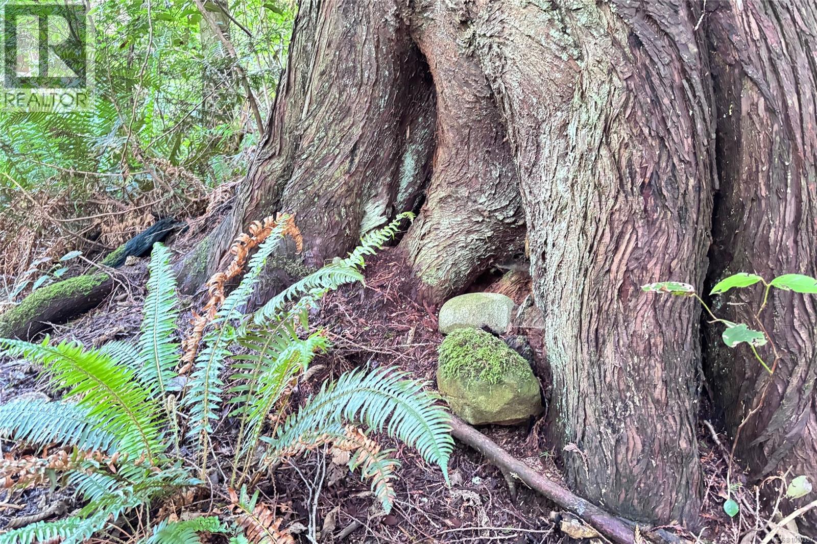 6662 Island Hwy W, Bowser, British Columbia  V0R 1G0 - Photo 24 - 1000397