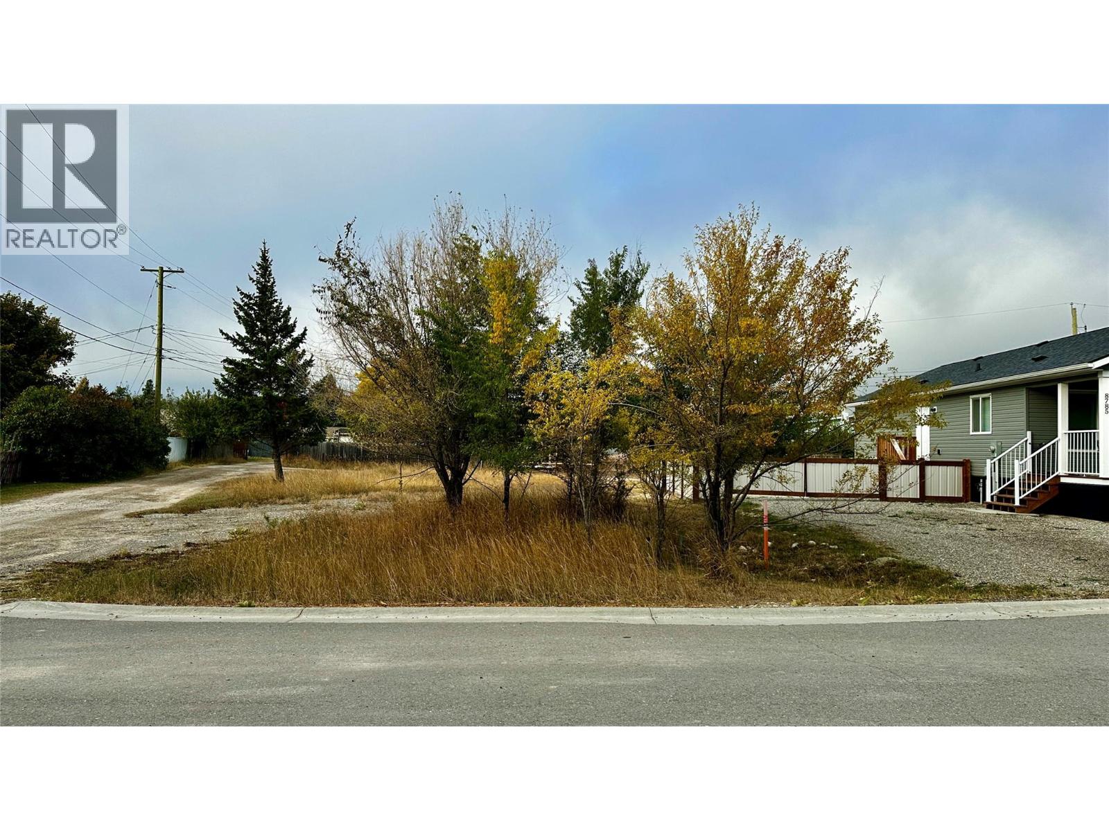 8787 Mountain View Street, canal flats, British Columbia