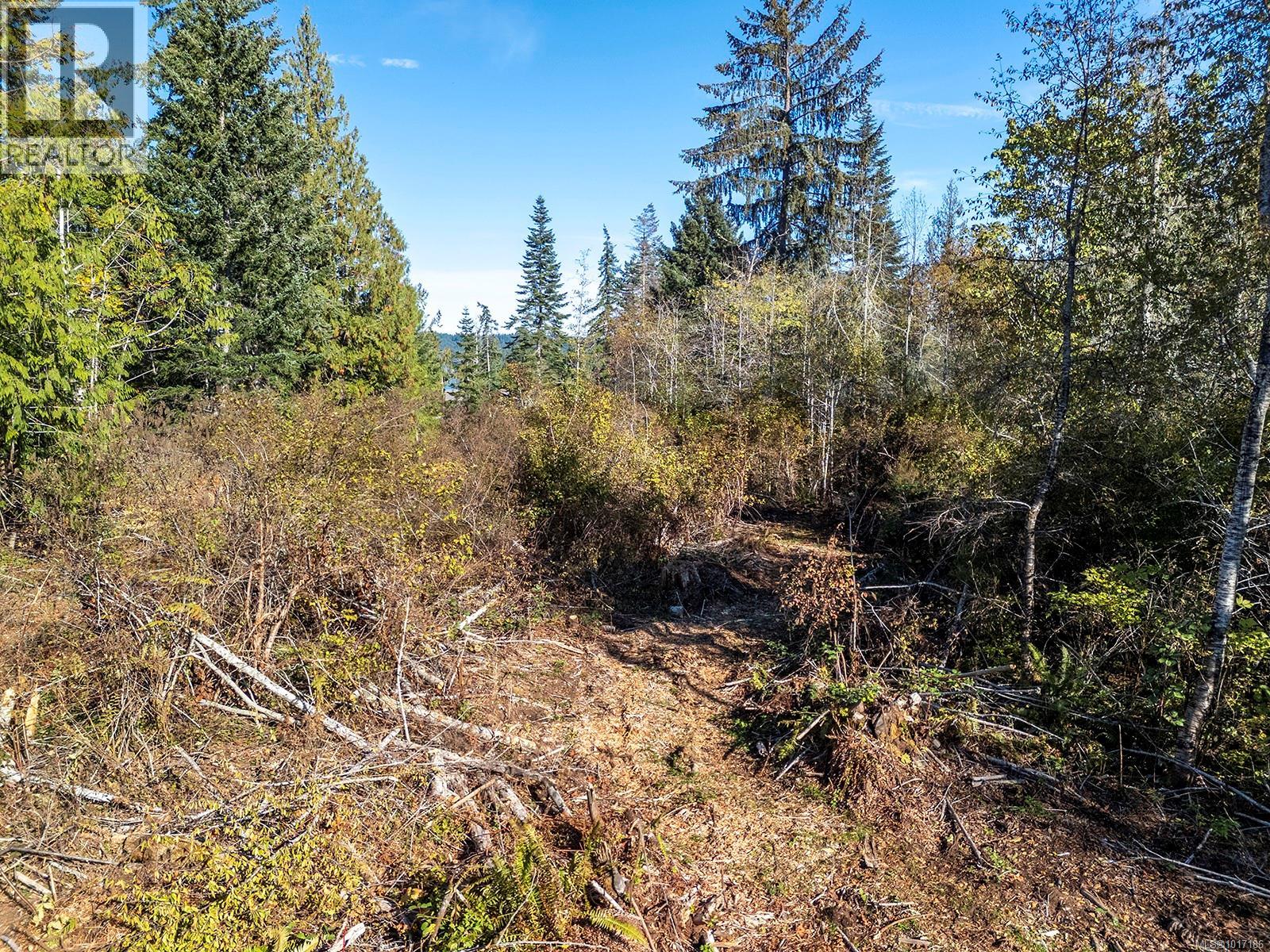 Lot 5 Country Rd, Fanny Bay, British Columbia  V0R 1W0 - Photo 26 - 1017186