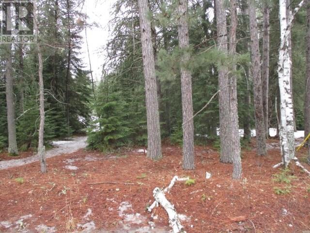 0 Drayton Rd, Sioux Lookout, Ontario  P8T 0A7 - Photo 2 - TB252795