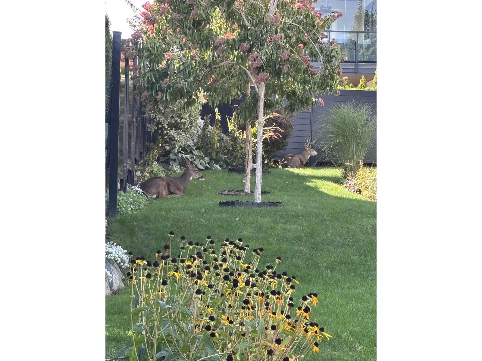 35528 Eagle Summit Drive, Abbotsford, British Columbia  V3G 0C4 - Photo 38 - R3029886