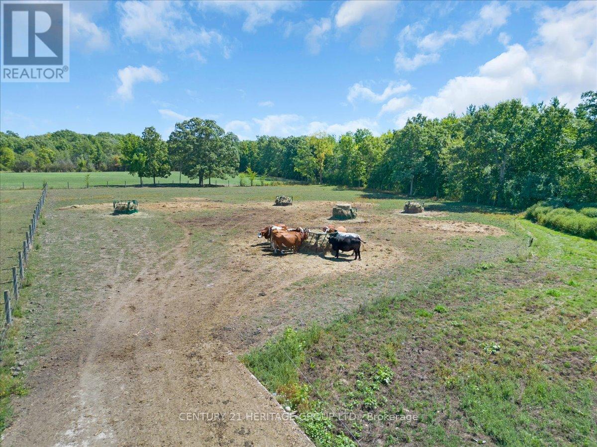 1945 Abingdon Road, West Lincoln, Ontario  L0R 1E0 - Photo 41 - X12455263