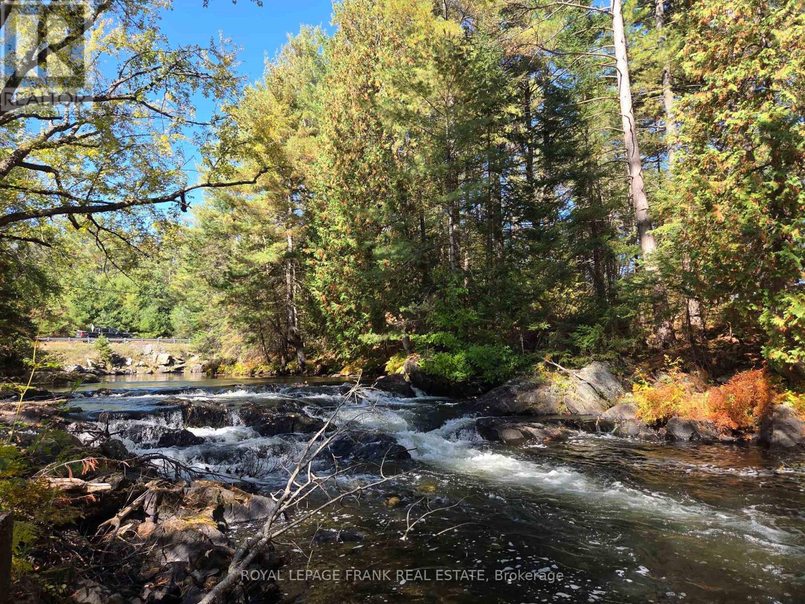 8847 Highway 28, North Kawartha, Ontario  K0L 1A0 - Photo 24 - X12455344