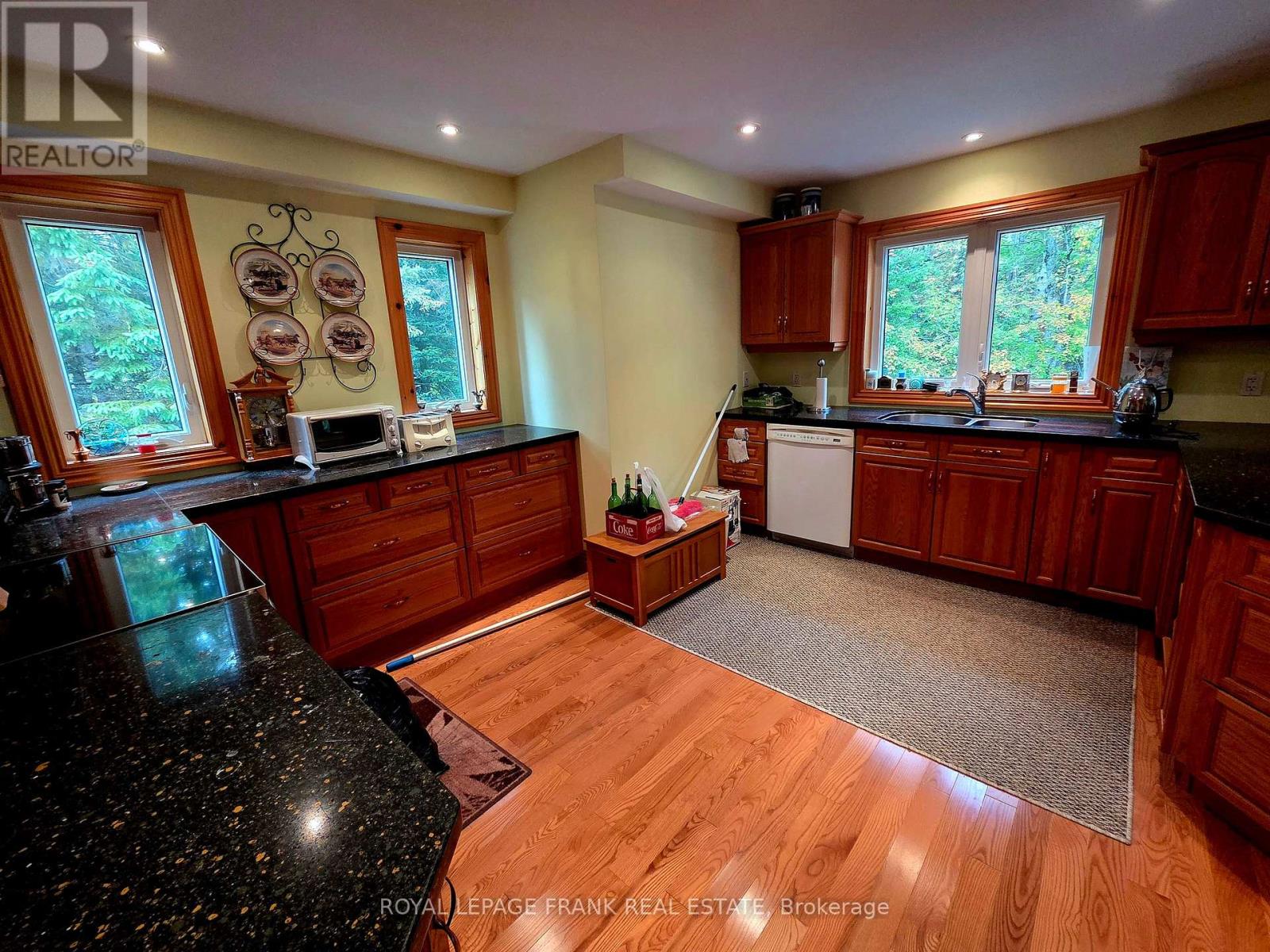 8847 Highway 28, North Kawartha, Ontario  K0L 1A0 - Photo 9 - X12455344