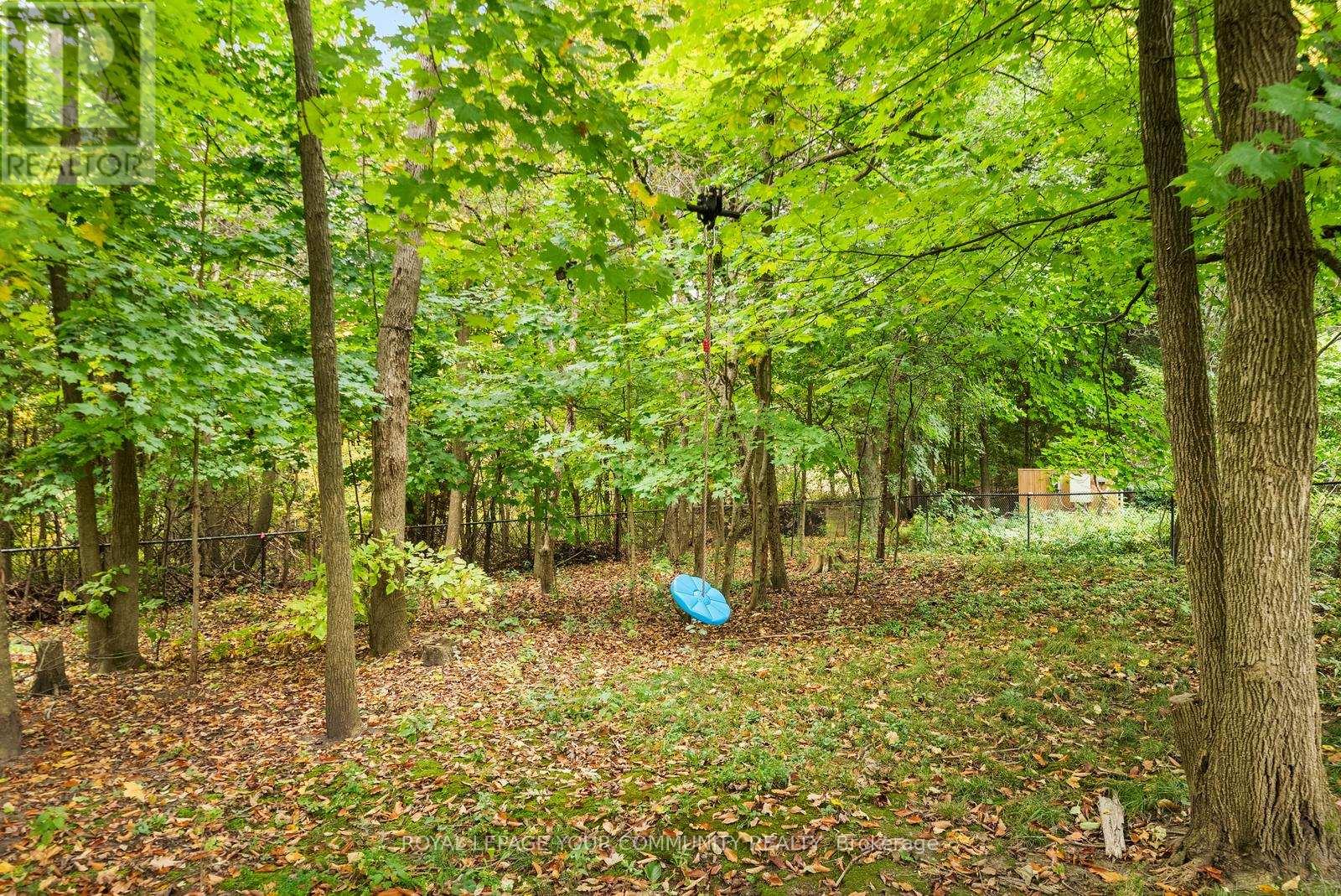 235 Kemano Road, Aurora, Ontario  L4G 5Z1 - Photo 42 - N12455335