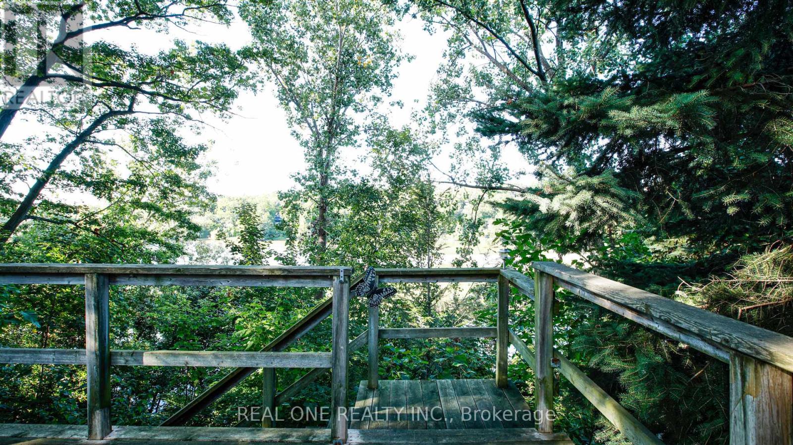 38 Stonegate Road, Toronto, Ontario  M8Y 1V5 - Photo 5 - W12455341