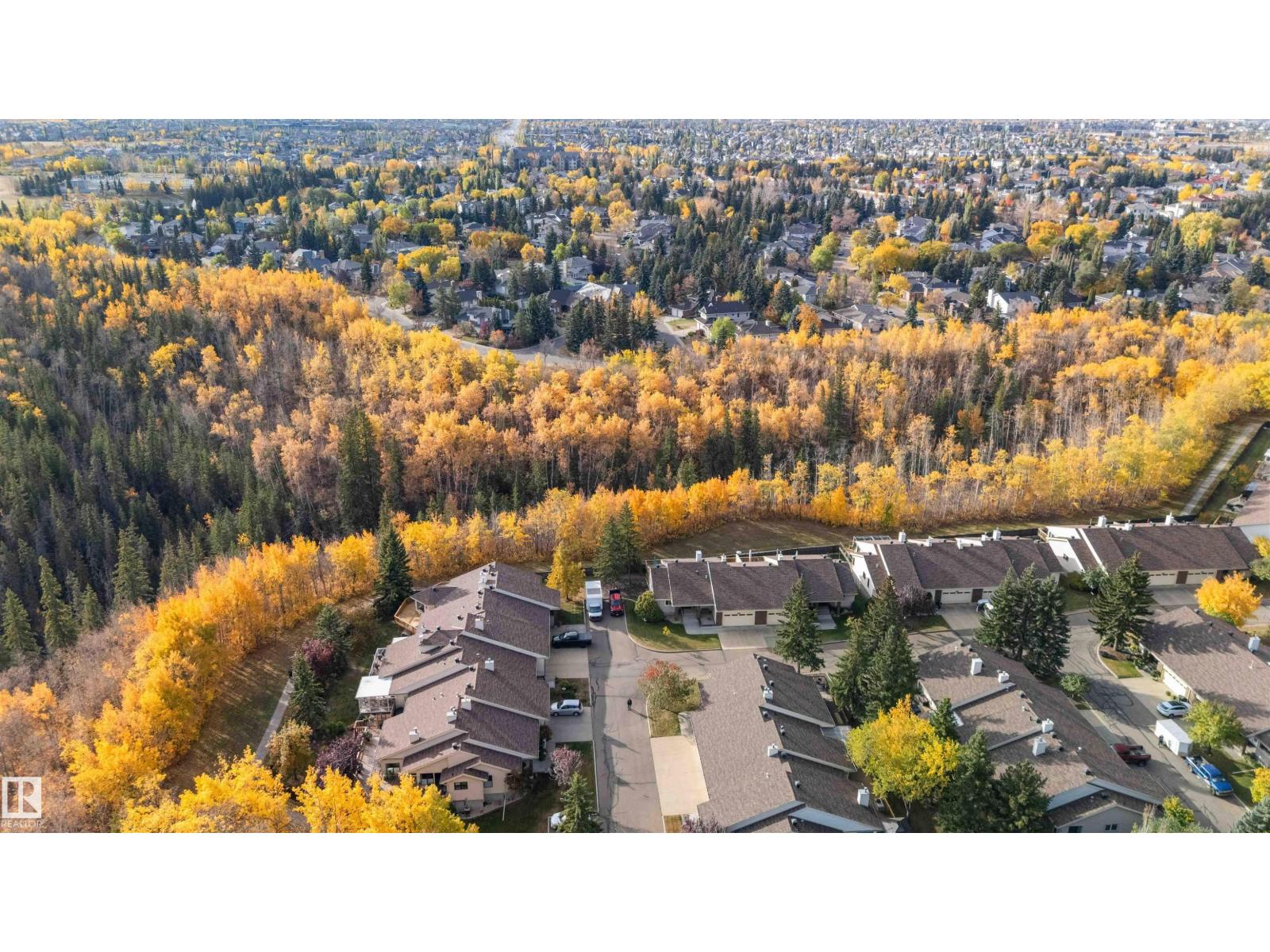 163 Oeming Rd Nw, Edmonton, Alberta  T6R 1M6 - Photo 68 - E4461553