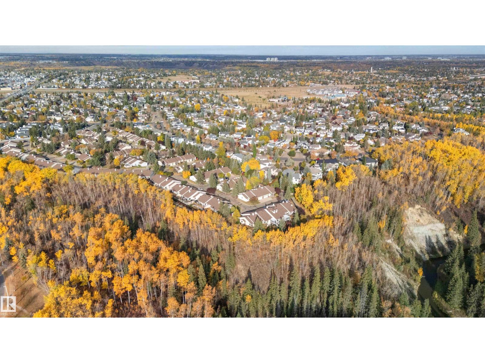 163 Oeming Rd Nw, Edmonton, Alberta  T6R 1M6 - Photo 71 - E4461553