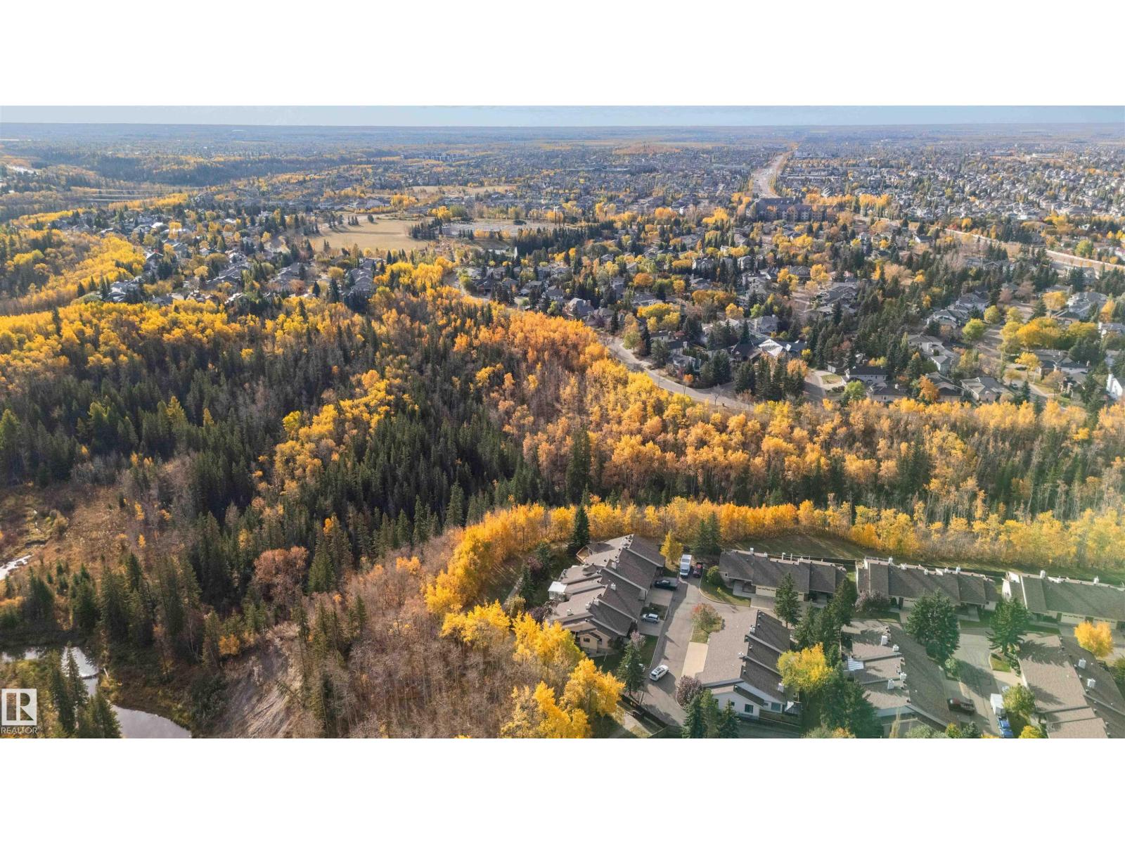 163 Oeming Rd Nw, Edmonton, Alberta  T6R 1M6 - Photo 72 - E4461553