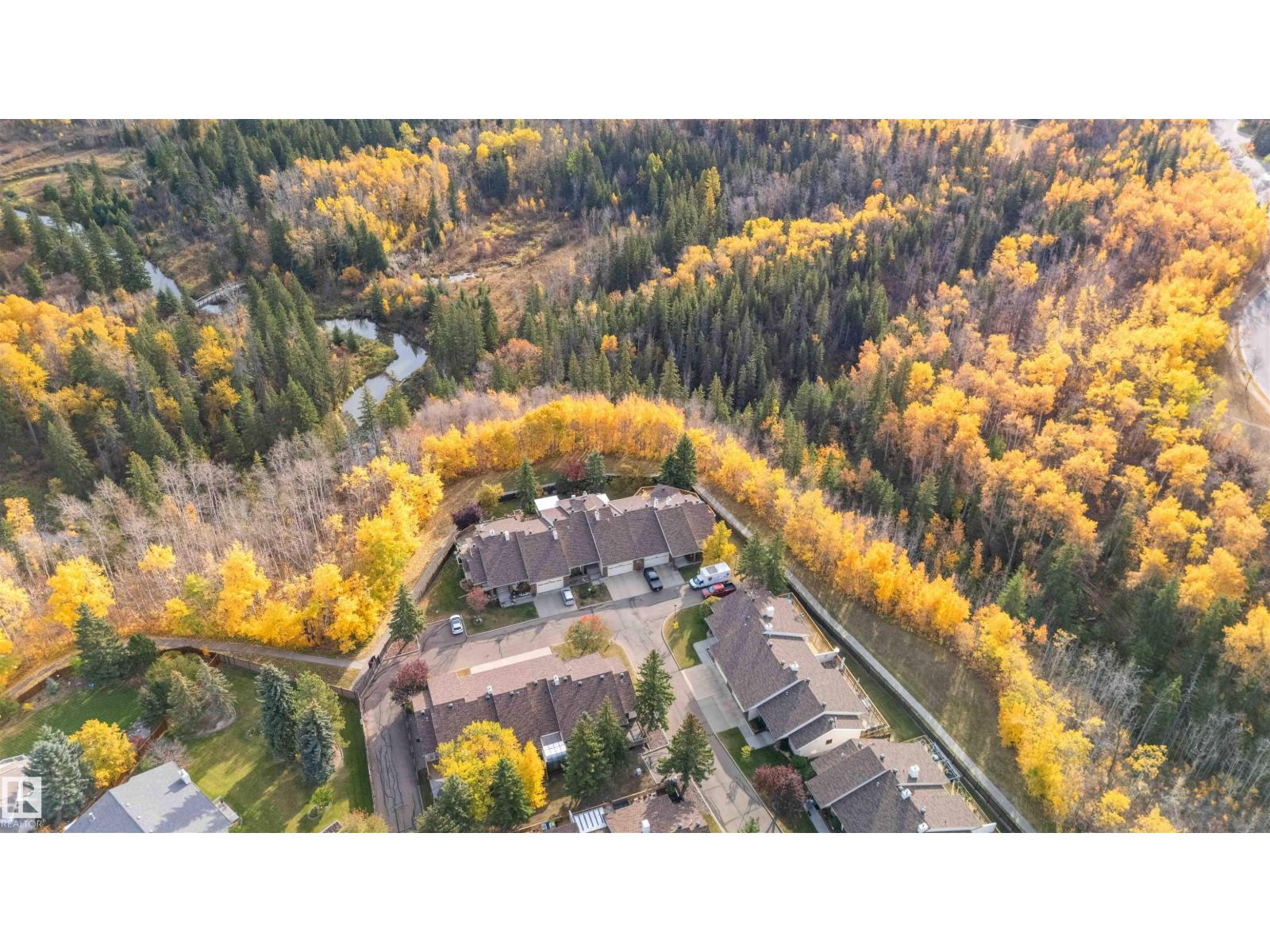 163 Oeming Rd Nw, Edmonton, Alberta  T6R 1M6 - Photo 74 - E4461553