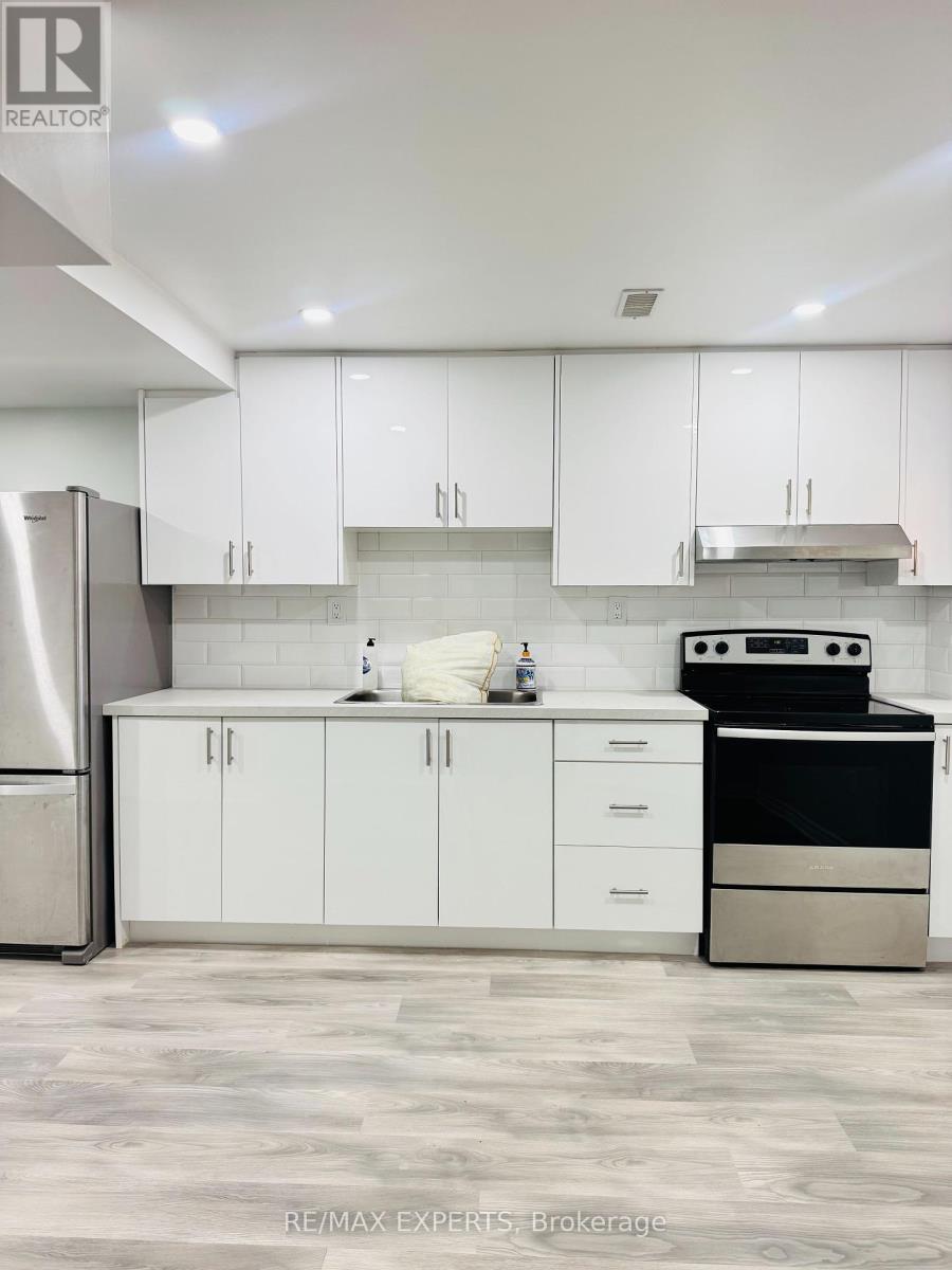 Lower - 106 Knott End Crescent, Newmarket, Ontario  L3Y 0E4 - Photo 3 - N12455376