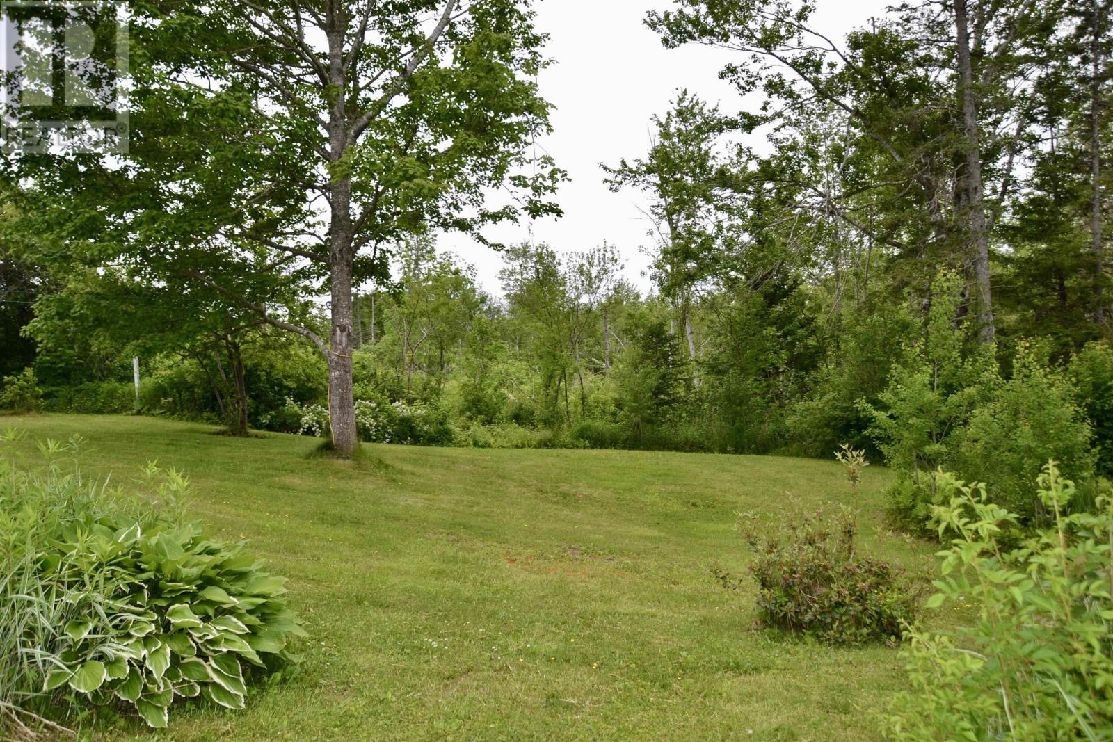 171 Highway 376, Central West River, Nova Scotia  B0K 1H0 - Photo 4 - 202515448
