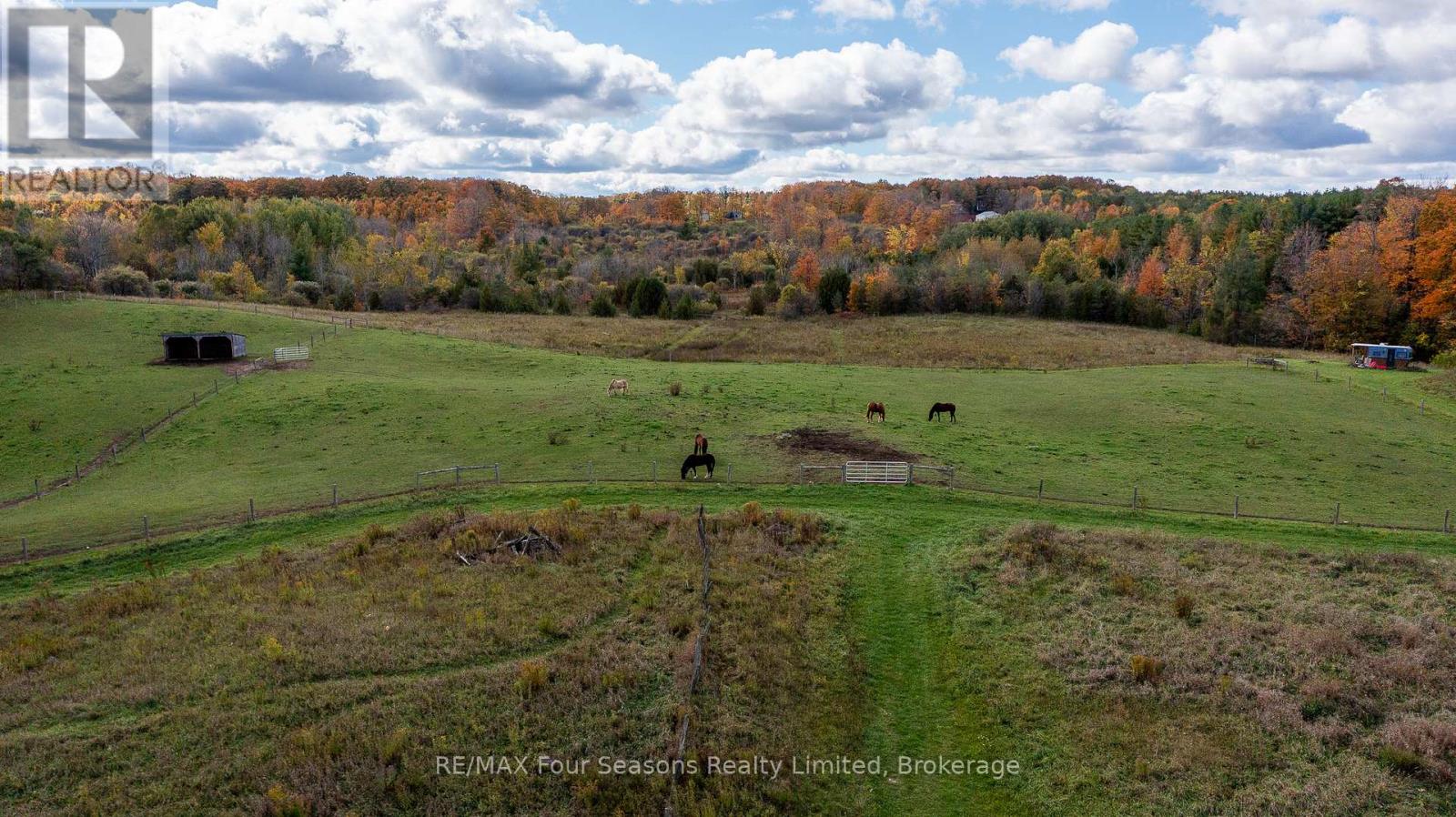 734316 West Back Line Road, Grey Highlands, Ontario  N0C 1E0 - Photo 33 - X12455416