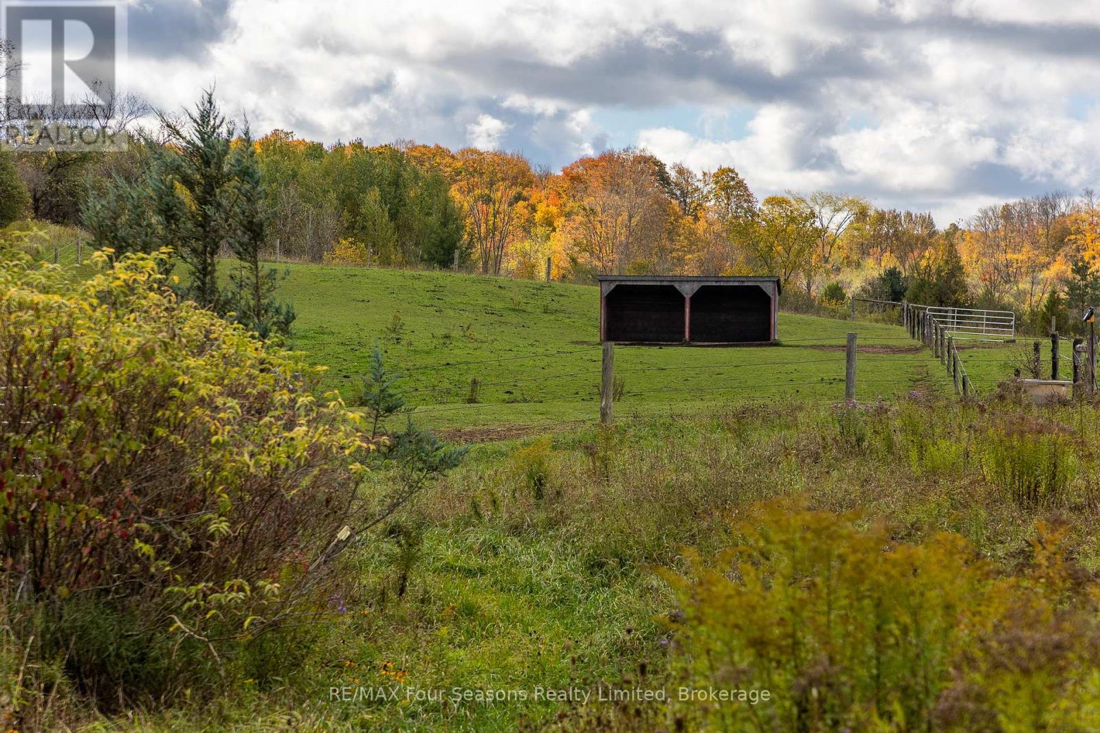 734316 West Back Line Road, Grey Highlands, Ontario  N0C 1E0 - Photo 36 - X12455416