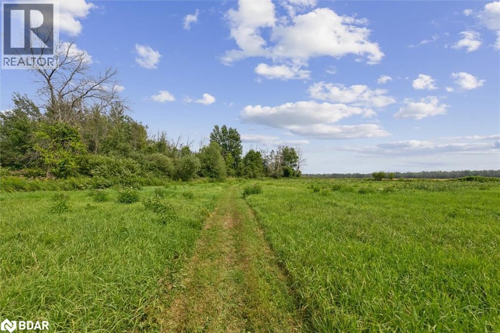 32805 Thorah Side Road, Beaverton, Ontario  L0K 1A0 - Photo 40 - 40768466