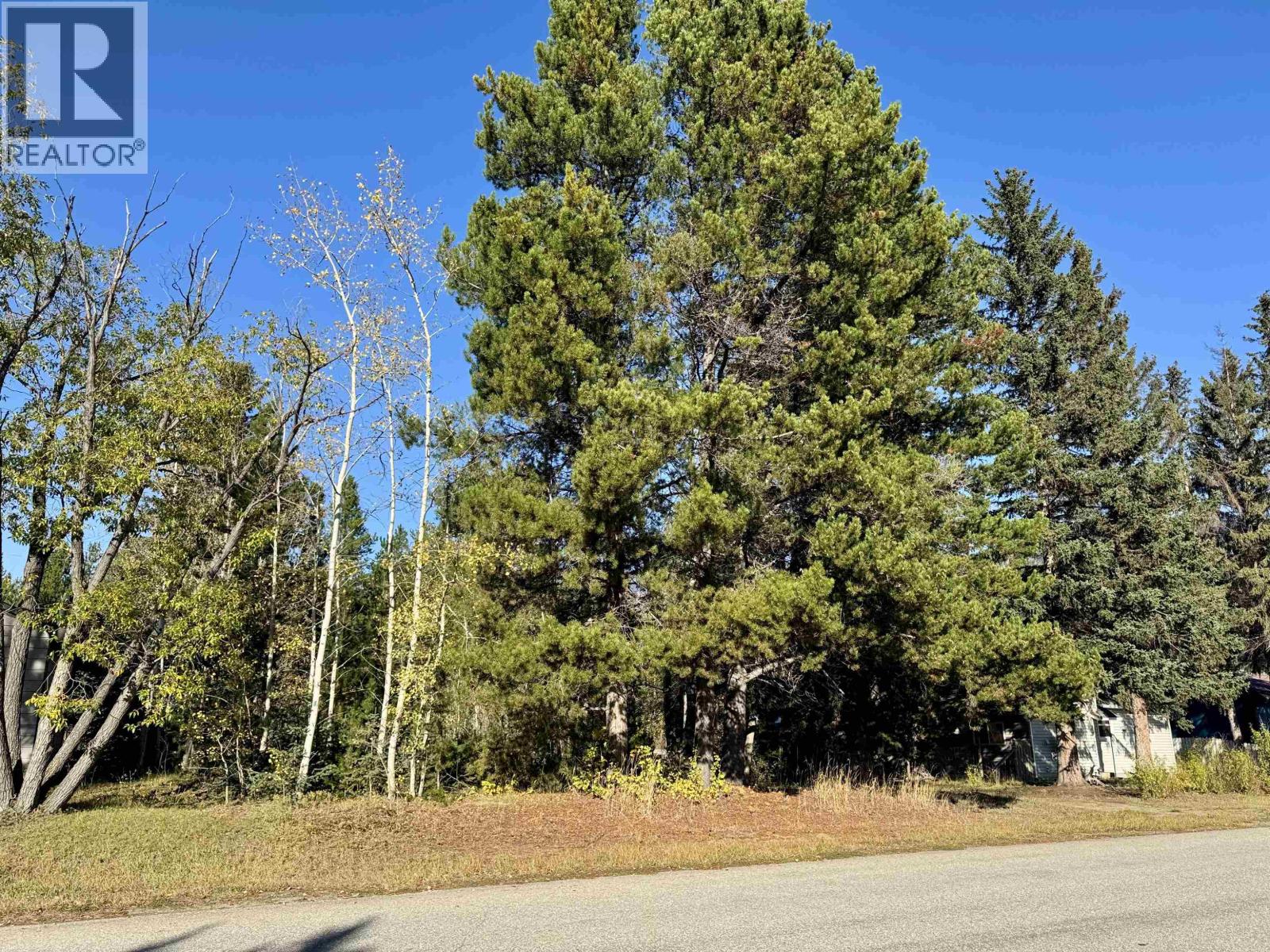 1366 7TH AVENUE, Valemount, British Columbia