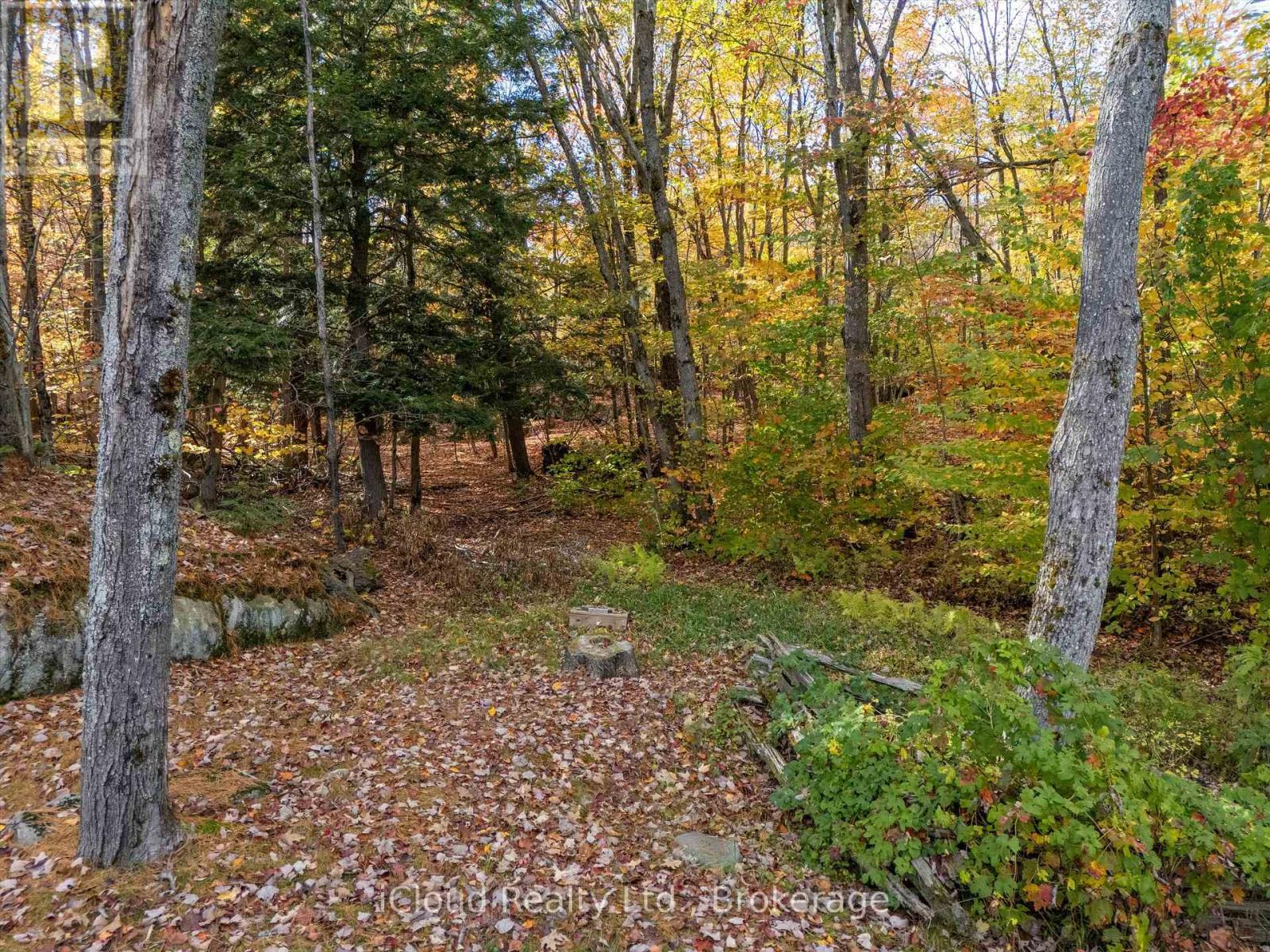 6 Springhill Road, Mckellar, Ontario  P0A 1G0 - Photo 41 - X12455447