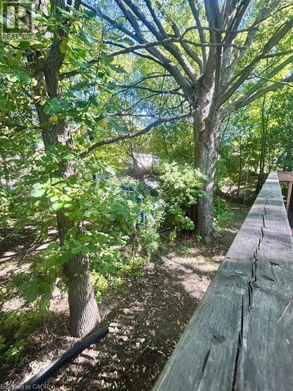 740 Charlotte Street, Sudbury, Ontario  P3E 4C3 - Photo 6 - 40778100