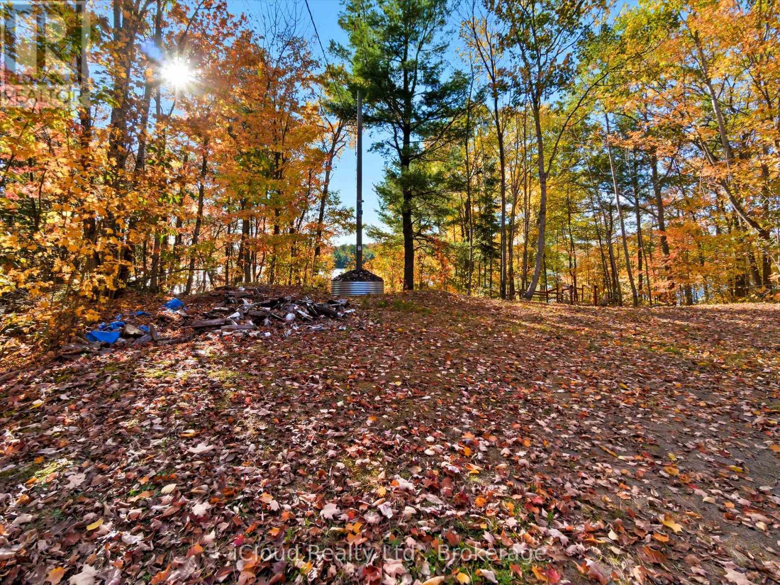 1128 124 Highway, Whitestone, Ontario  P0A 1G0 - Photo 39 - X12455494