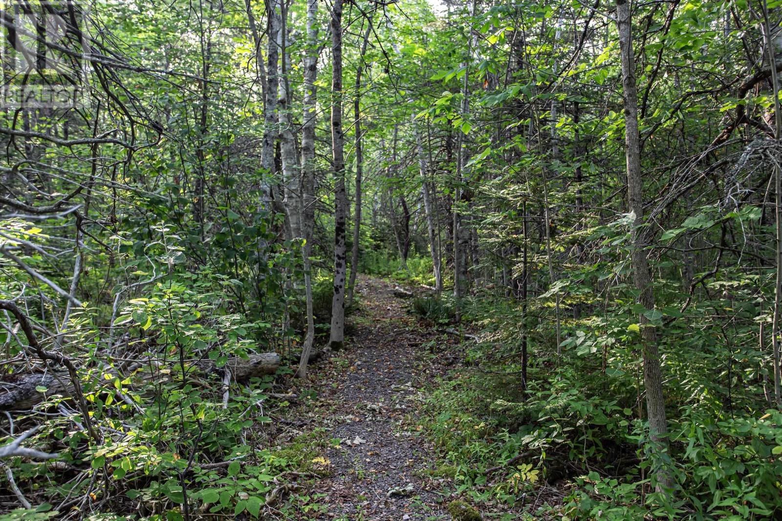 Lot Ben Phinney Road, Forest Glade, Nova Scotia  B0S 1N0 - Photo 11 - 202520425