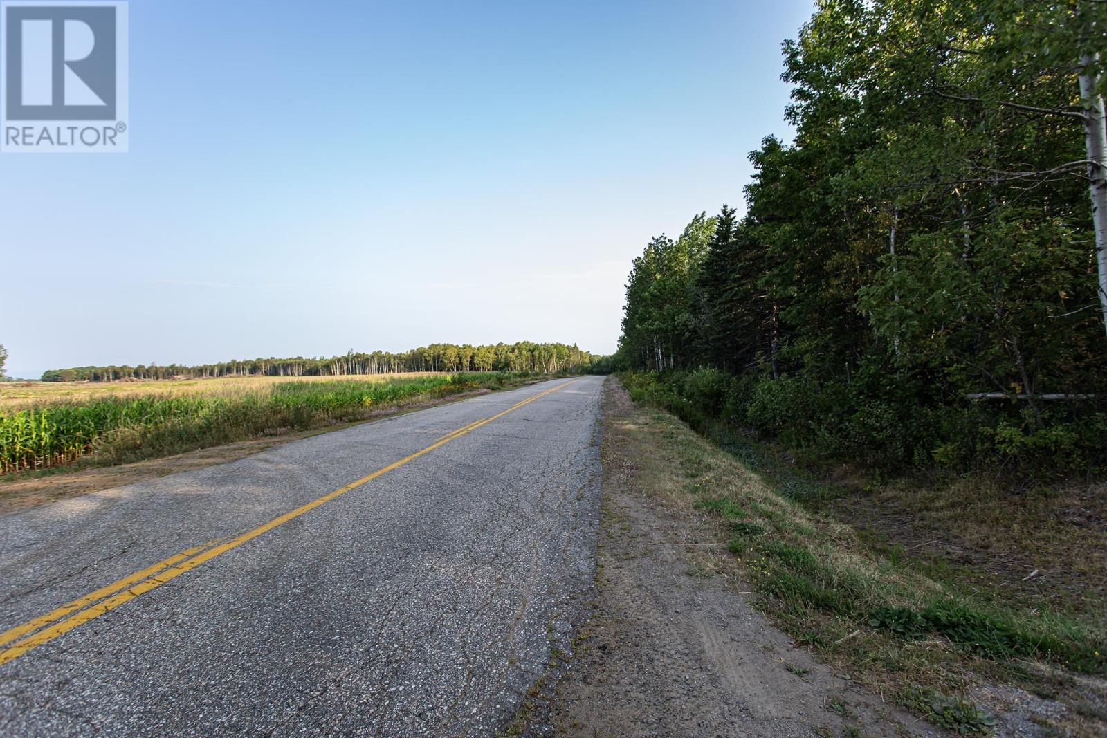 Lot Ben Phinney Road, Forest Glade, Nova Scotia  B0S 1N0 - Photo 14 - 202520425