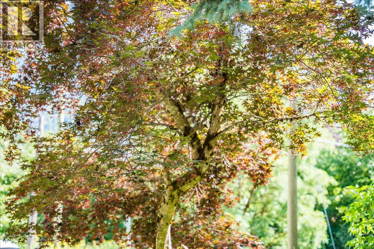 1835 Granite Road, Nelson, British Columbia  V1L 6T8 - Photo 80 - 10361612