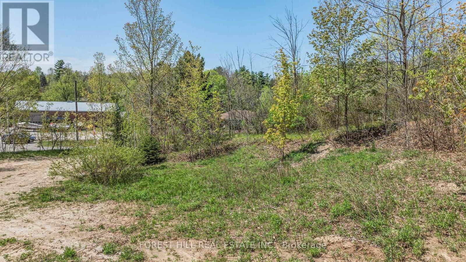 22 Main Street N, Halton Hills, Ontario  L7G 3G8 - Photo 10 - W12455539