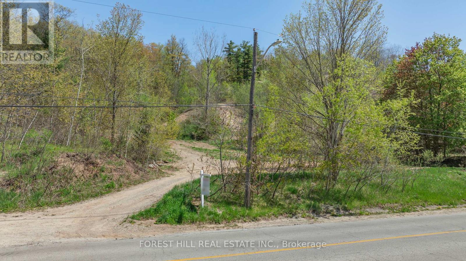 22 Main Street N, Halton Hills, Ontario  L7G 3G8 - Photo 3 - W12455539