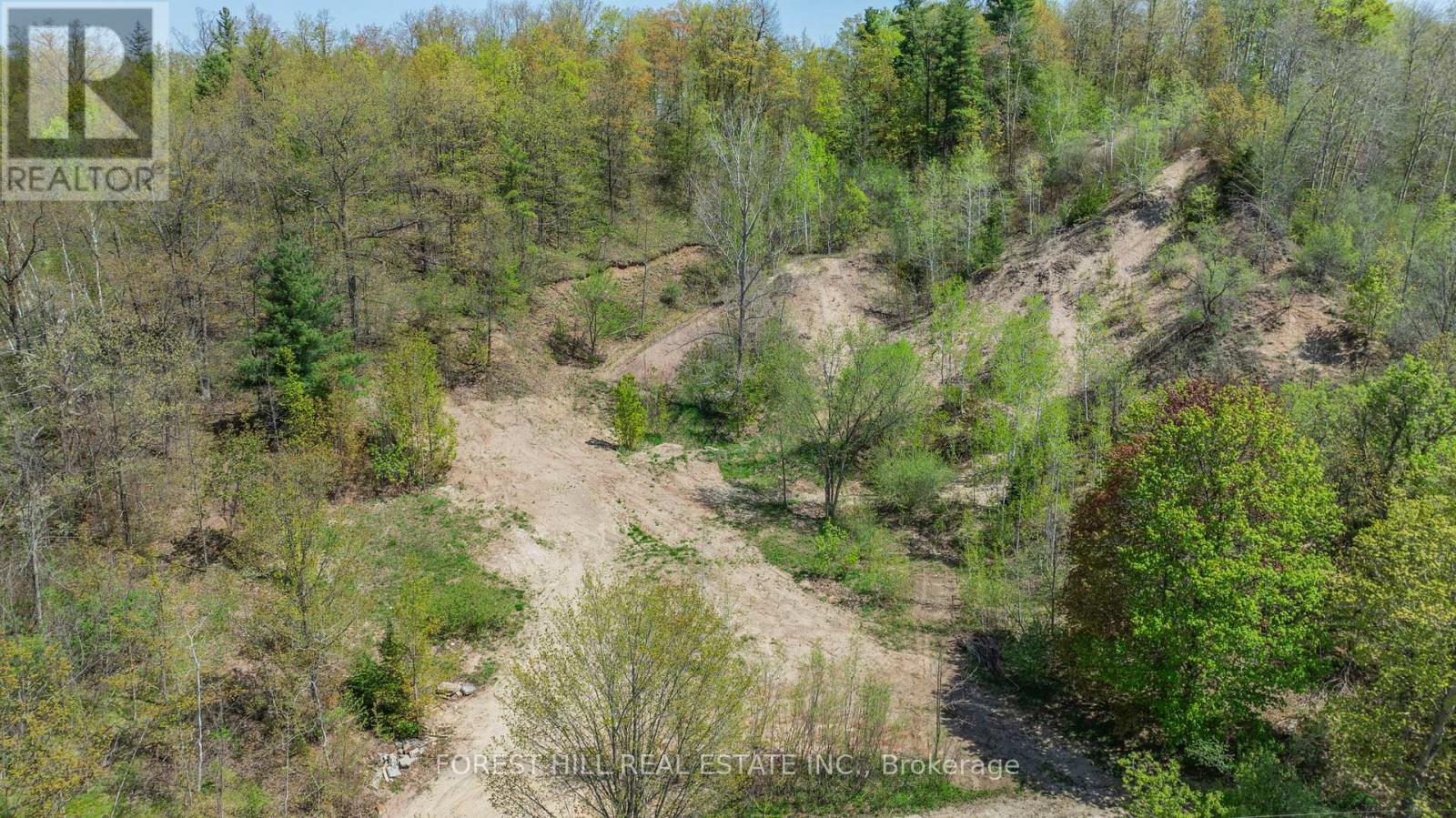 22 Main Street N, Halton Hills, Ontario  L7G 3G8 - Photo 5 - W12455539