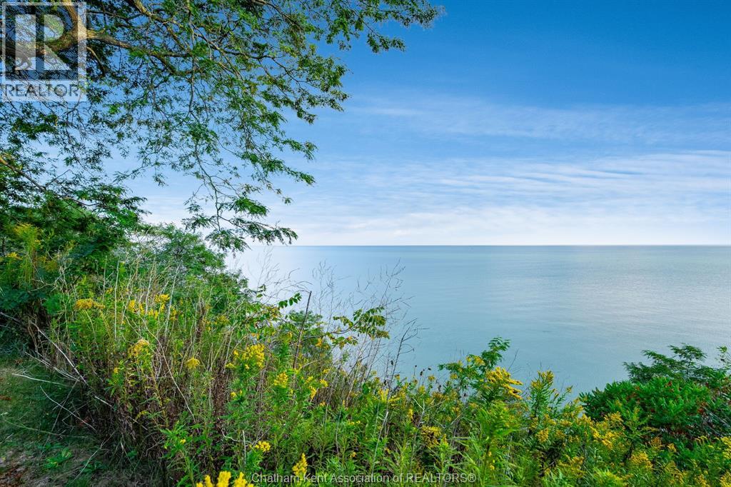 6490 Talbot Trail, Merlin, Ontario  N0P 1W0 - Photo 33 - 25024695