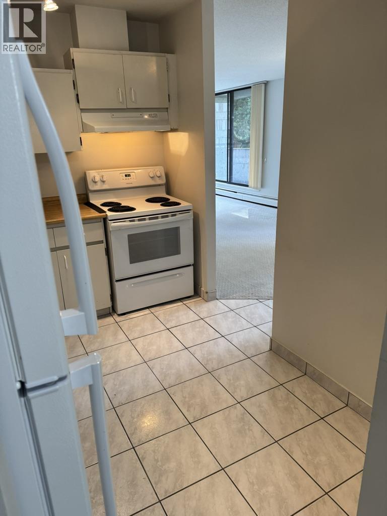 203 3755 Bartlett Court, Burnaby, British Columbia  V3J 7G7 - Photo 11 - R3017290