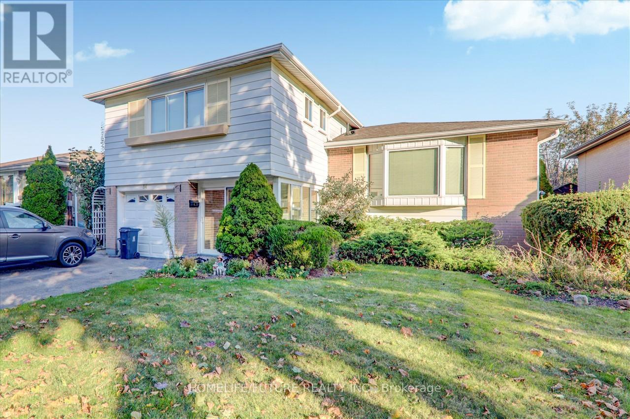 Bsmt - 34 Oakmeadow Boulevard, Toronto, Ontario  M1E 4G1 - Photo 2 - E12455638