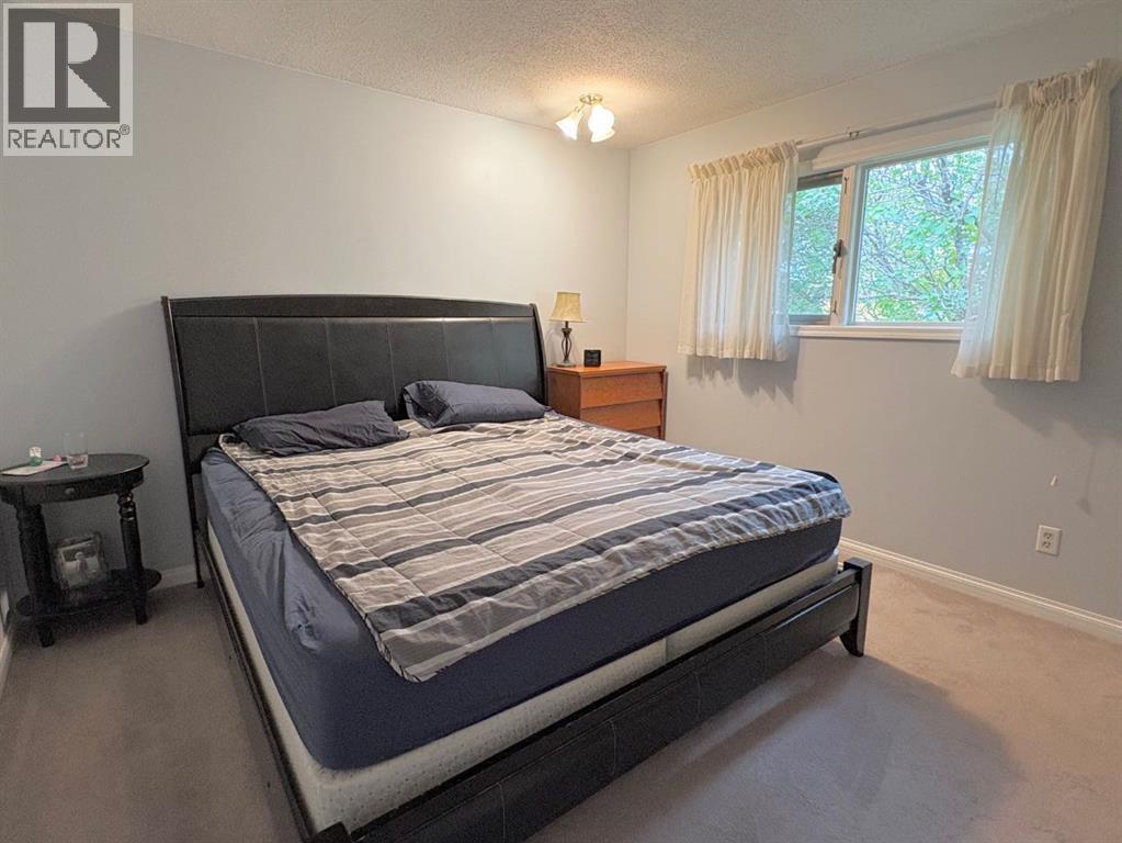 5623 55 Avenue, Rocky Mountain House, Alberta  T4T 1H6 - Photo 12 - A2263282