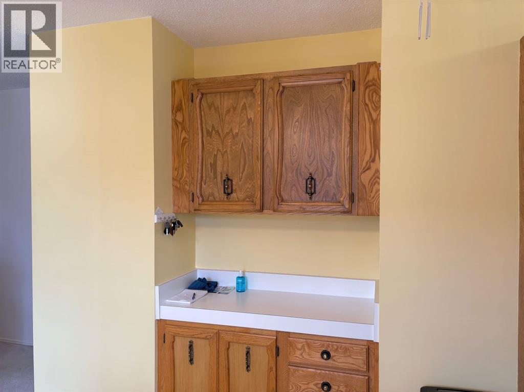 5623 55 Avenue, Rocky Mountain House, Alberta  T4T 1H6 - Photo 11 - A2263282