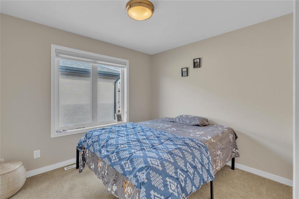 242 Daylan Marshall Gate, Winnipeg, Manitoba  R2P 1X8 - Photo 25 - 202526281