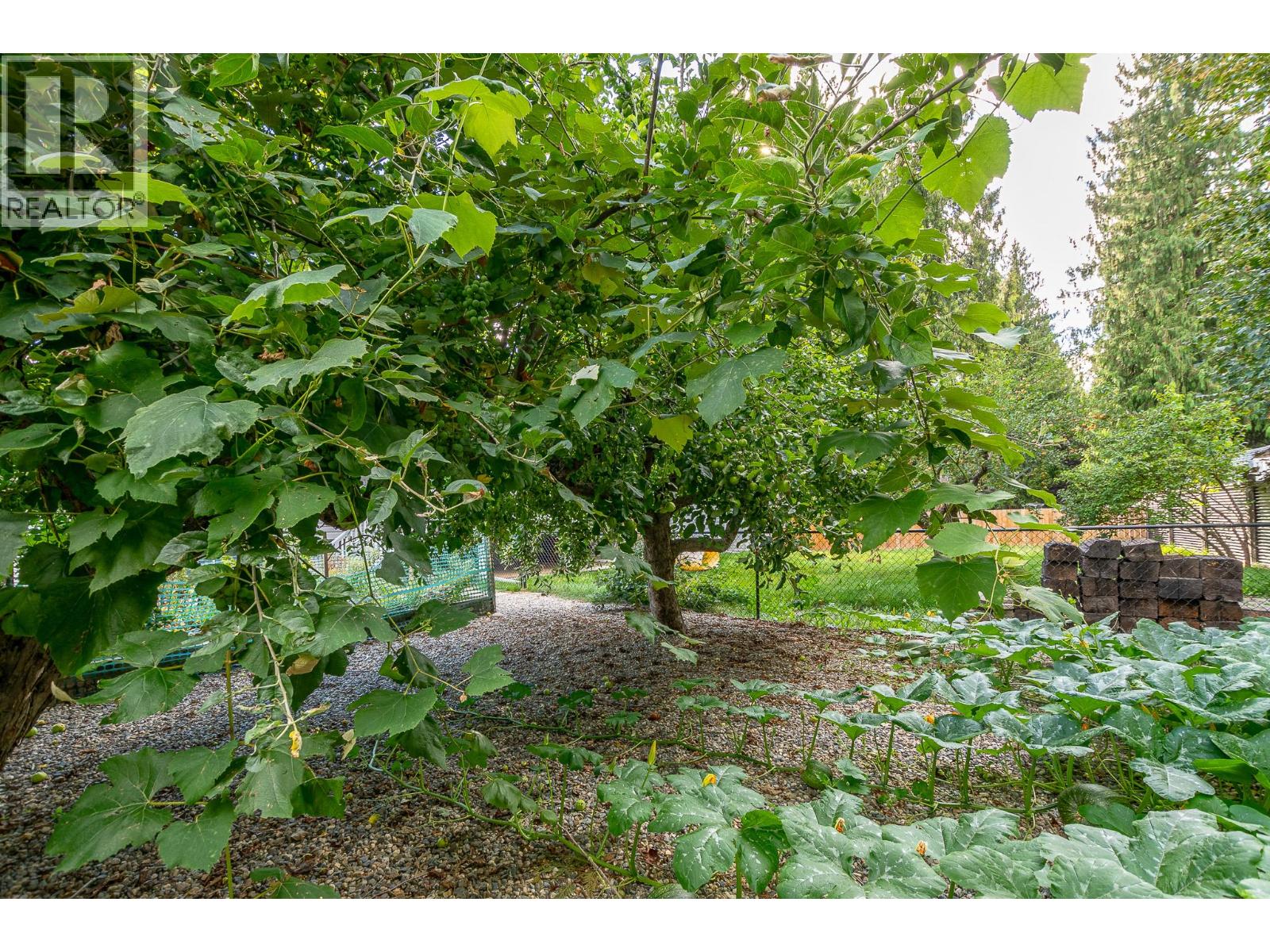 714 Maple Street, Sicamous, British Columbia  V0E 2V1 - Photo 43 - 10359062