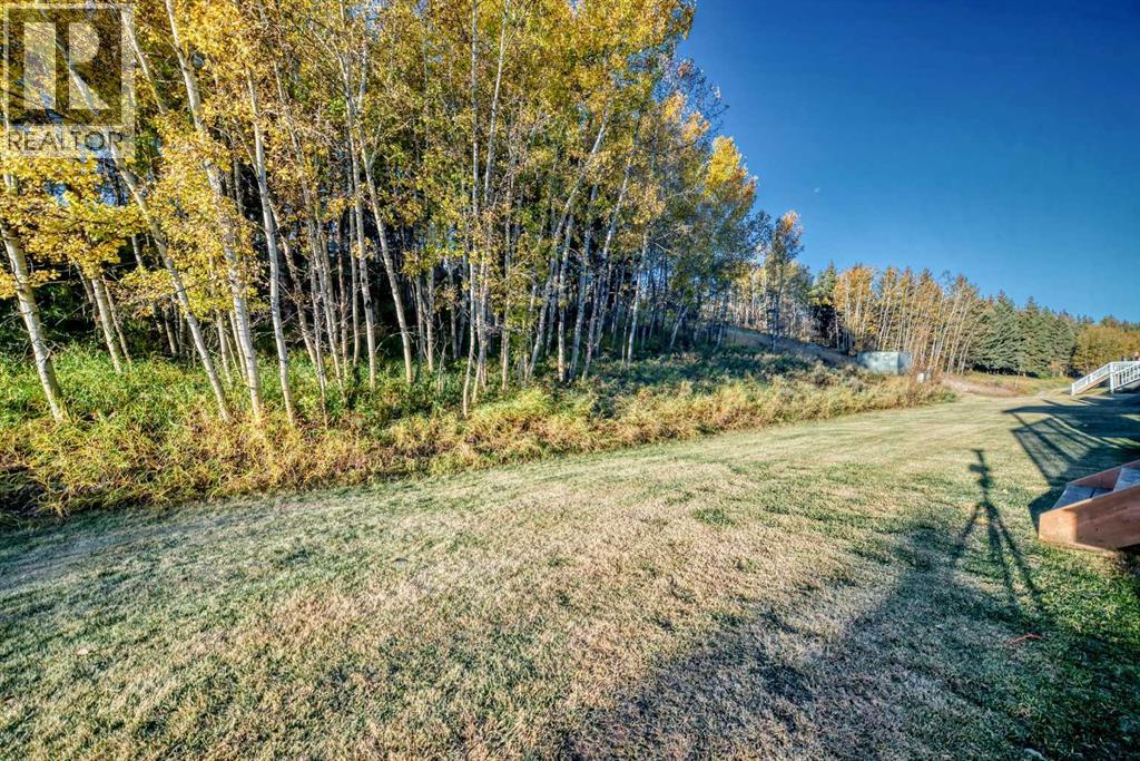 155 Crawford Drive, Cochrane, Alberta  T4C 2G7 - Photo 28 - A2262858