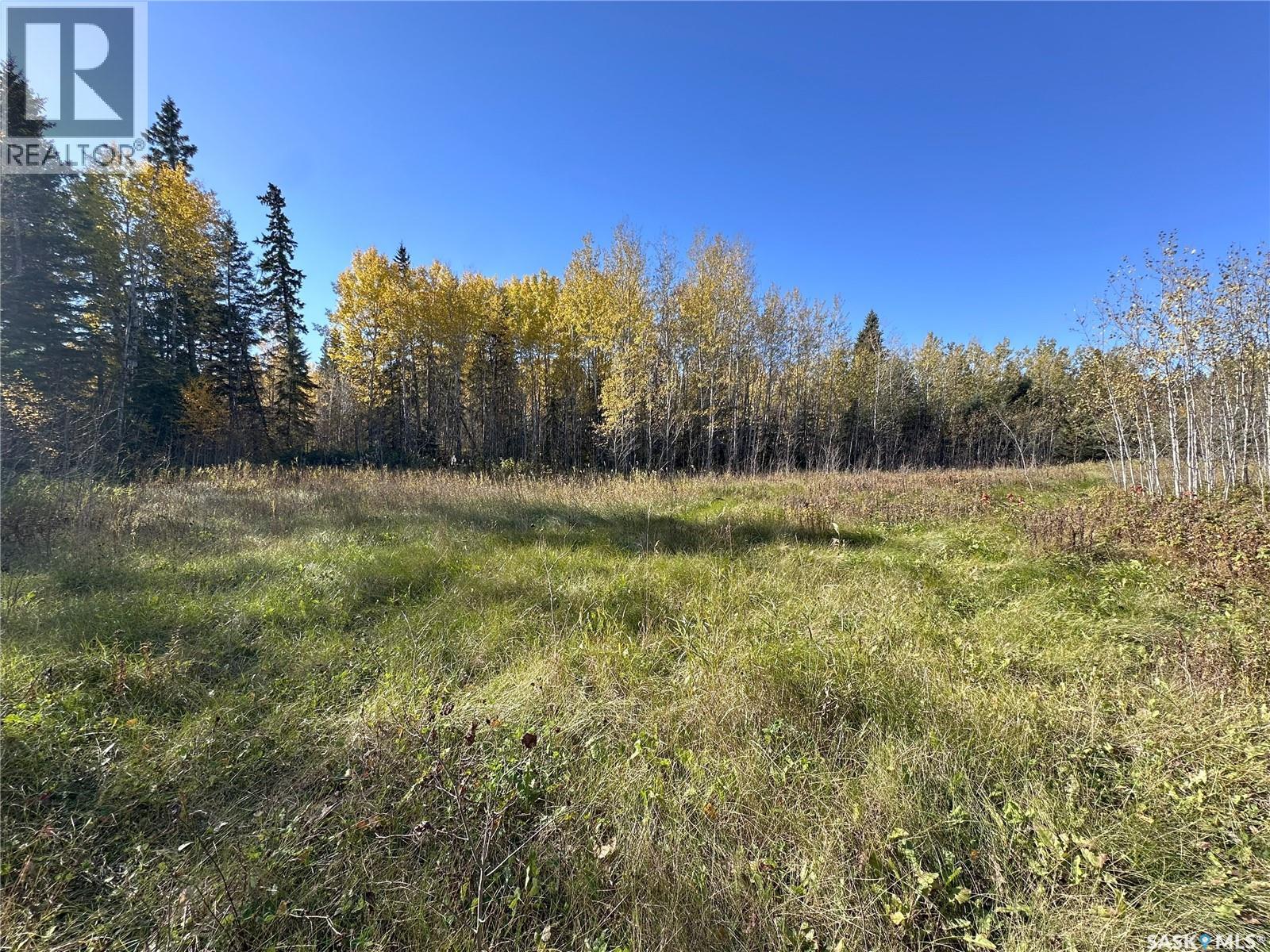 2 Buckingham Trail, Big River Rm No. 555, Saskatchewan  S0J 0E0 - Photo 1 - SK992480