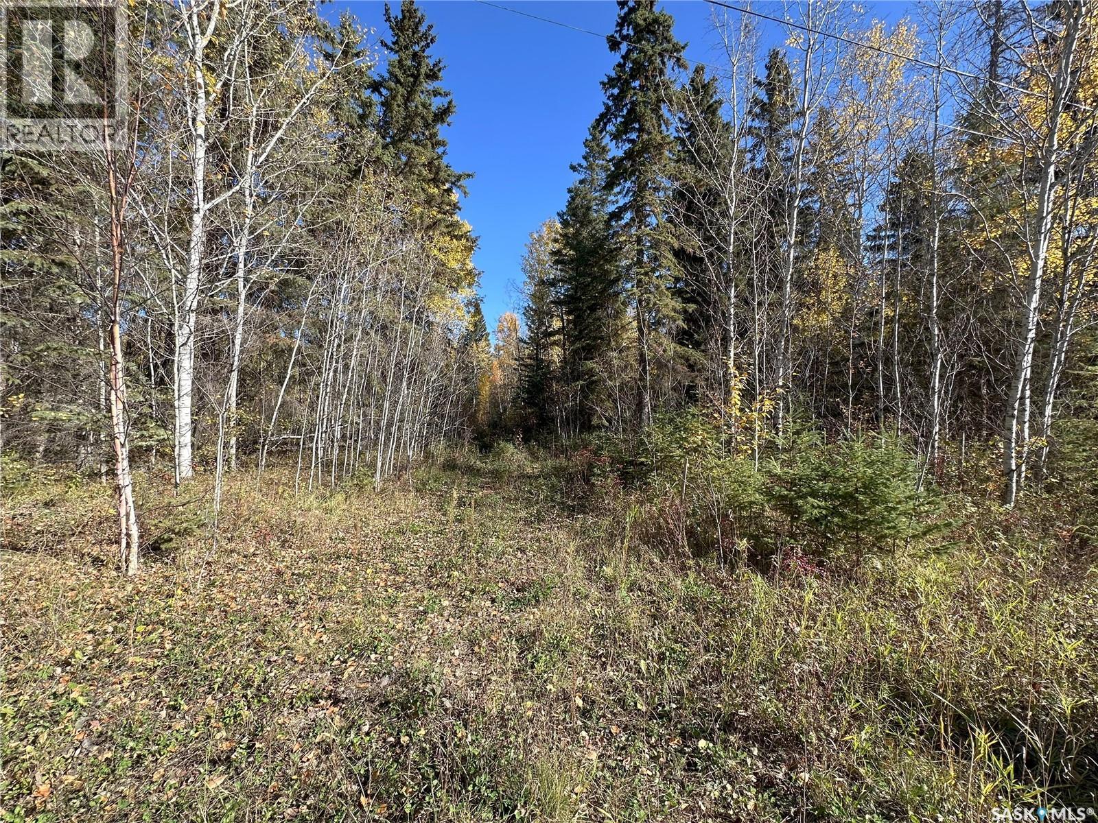 2 Buckingham Trail, Big River Rm No. 555, Saskatchewan  S0J 0E0 - Photo 5 - SK992480