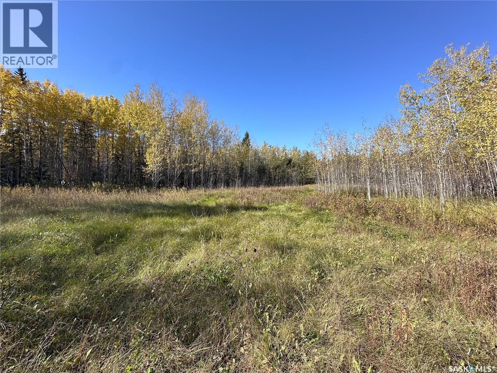 2 Buckingham Trail, Big River Rm No. 555, Saskatchewan  S0J 0E0 - Photo 2 - SK992480